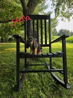 Stella, a female Bloodhound for sale in Baraga, MI – 1 of 5