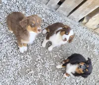 processed/ad3489d3-9ac1-48f2-b043-f5e35a5d46b4/facility/cd4acccf-ad07-41e3-874e-643269116067