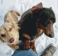 processed/ad48bb3b-7f8e-4e2f-9041-4bd7d979178e/facility/3053cb19-6af0-4429-b7a4-64c866fbdcaa