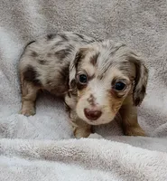 processed/ad48bb3b-7f8e-4e2f-9041-4bd7d979178e/facility/fbdcfd9a-b9eb-41a8-8d07-e0b896235963