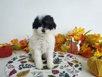 processed/ad4c4d28-54dd-4b0a-8b46-c691439e511b/listing/9ff90a5b-ea03-4499-8b5a-45a57e363bc5/039b64e7-9017-4bb5-94b3-88b0403bb28d