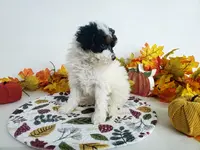 processed/ad4c4d28-54dd-4b0a-8b46-c691439e511b/listing/9ff90a5b-ea03-4499-8b5a-45a57e363bc5/27d807c2-492d-46ce-bf6d-77d37b499a0b