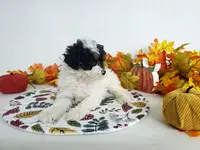 processed/ad4c4d28-54dd-4b0a-8b46-c691439e511b/listing/9ff90a5b-ea03-4499-8b5a-45a57e363bc5/9f13dd83-fecc-42ee-afb0-677a58fa3992