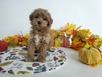 processed/ad4c4d28-54dd-4b0a-8b46-c691439e511b/listing/c47096bd-afdc-46b7-be9e-1b80eb98a75d/9f48dfe4-190b-432f-91ab-98dc1d53c6c7