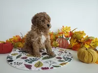 processed/ad4c4d28-54dd-4b0a-8b46-c691439e511b/listing/c47096bd-afdc-46b7-be9e-1b80eb98a75d/f0da63f9-44e3-4a86-904d-5c94ae6c3db2