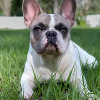 processed/ad51a433-374c-448f-94e3-91594bed5a3e/facility/1da07e21-4289-416f-80a0-9b414d406604