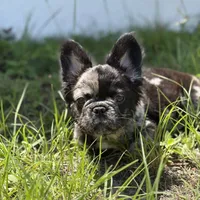 processed/ad51a433-374c-448f-94e3-91594bed5a3e/facility/2c06b5a4-09c2-4626-a97e-38e0ae57db47