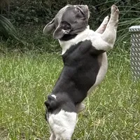 processed/ad51a433-374c-448f-94e3-91594bed5a3e/facility/4b13f3a7-ead5-4105-a753-2da2258ddbe6