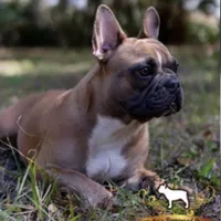 processed/ad51a433-374c-448f-94e3-91594bed5a3e/facility/673f102a-21c2-4f7b-8140-5dfef2a317f6