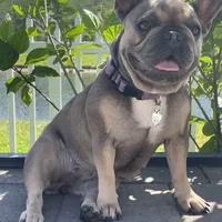 processed/ad51a433-374c-448f-94e3-91594bed5a3e/facility/7a1ff676-ac37-4b48-bf30-aa4a40bb198a