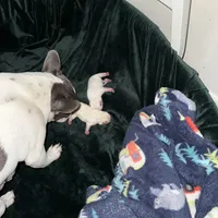 processed/ad51a433-374c-448f-94e3-91594bed5a3e/facility/b0e5c19a-4a1b-4c6f-980d-1d2be3ce3ffa