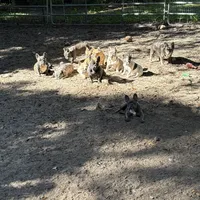 processed/ad51a433-374c-448f-94e3-91594bed5a3e/facility/b5a44236-8cd7-40c2-9b9a-c904570d76d5