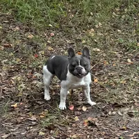 processed/ad51a433-374c-448f-94e3-91594bed5a3e/facility/e608aca9-8263-49d0-9ff7-76d0f2186d35