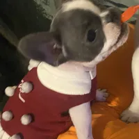 processed/ad51a433-374c-448f-94e3-91594bed5a3e/facility/ef80fb40-0147-4a4d-aea0-4a2f2162bb8b