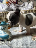 processed/ad51a433-374c-448f-94e3-91594bed5a3e/listing/c8f3538a-048c-4c67-b31a-6bc2191fdf2c/42a58448-3226-4890-ae16-ee256882658b