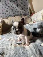 processed/ad51a433-374c-448f-94e3-91594bed5a3e/listing/c8f3538a-048c-4c67-b31a-6bc2191fdf2c/b3c99d0b-30a7-4226-853f-df60ffea85a7