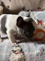 processed/ad51a433-374c-448f-94e3-91594bed5a3e/listing/c8f3538a-048c-4c67-b31a-6bc2191fdf2c/cb5e86ad-8557-4259-a2b7-0a3547ea5eb9