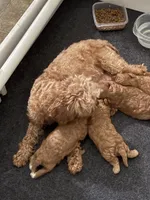 processed/ad535a5e-387a-4df0-afad-780924539398/facility/a0421a00-e8e7-4ca6-bc99-0c4dc4e9d950