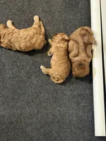 processed/ad535a5e-387a-4df0-afad-780924539398/facility/ba0cd8b3-d90d-4ad0-8498-d6a194569eff