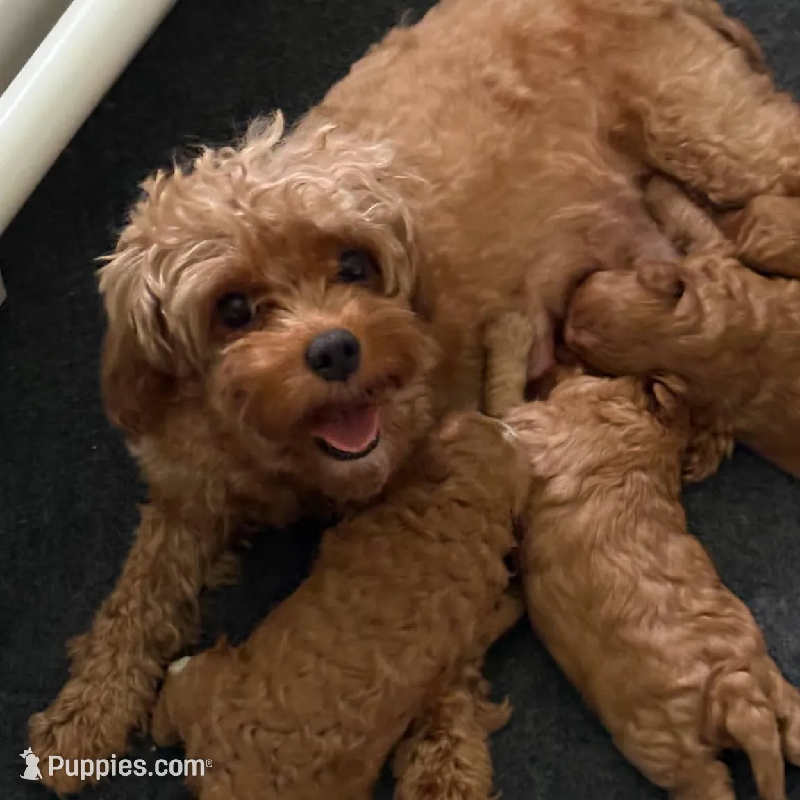 processed/ad535a5e-387a-4df0-afad-780924539398/facility/d0476c00-8a54-41ac-9382-e9e2488c18b4