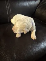 processed/ad564f44-7b78-4025-b964-62483f4670d3/listing/383e3a22-4792-4db4-90b2-8f2ea08dda57/7d1f8b12-7b1f-4b50-9a29-824c1f68831f