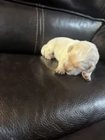 processed/ad564f44-7b78-4025-b964-62483f4670d3/listing/383e3a22-4792-4db4-90b2-8f2ea08dda57/bccd66e1-2c51-49be-8b02-7d689ed5b56d