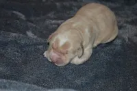 processed/ad564f44-7b78-4025-b964-62483f4670d3/listing/7564d171-af6a-4e15-ab15-035dbc7c6385/215d5815-ba9b-40de-a084-90100123dcd4