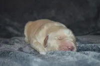 processed/ad564f44-7b78-4025-b964-62483f4670d3/listing/7564d171-af6a-4e15-ab15-035dbc7c6385/7333f572-f8a5-4b8e-adfd-990e1920d5b5