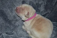 processed/ad564f44-7b78-4025-b964-62483f4670d3/listing/7564d171-af6a-4e15-ab15-035dbc7c6385/89c08376-0d15-4017-80c1-56374b99eb66