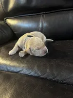 processed/ad564f44-7b78-4025-b964-62483f4670d3/listing/8473b021-4193-42f8-ae39-5e0a592bbf98/3c91652d-9007-466f-94f5-5cea1eb8c329