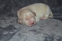 processed/ad564f44-7b78-4025-b964-62483f4670d3/listing/c1414fd4-1ef6-4c5b-8f38-112c29d025af/50c0802f-ab23-4e73-a4a2-72f3f67e715f