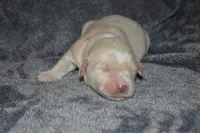 processed/ad564f44-7b78-4025-b964-62483f4670d3/listing/c1414fd4-1ef6-4c5b-8f38-112c29d025af/7add8c18-9206-4adc-83cb-cdbcc863b2f7