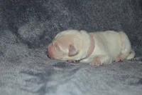 processed/ad564f44-7b78-4025-b964-62483f4670d3/listing/c1414fd4-1ef6-4c5b-8f38-112c29d025af/ba9e57ef-2f50-492d-9a76-b040a1b0ca13