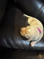 processed/ad564f44-7b78-4025-b964-62483f4670d3/listing/d2822ee6-eb8f-4272-92b2-5d17f2211f6e/a74ebc63-cfab-4885-8324-d490a9fd31ea