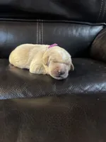 processed/ad564f44-7b78-4025-b964-62483f4670d3/listing/d2822ee6-eb8f-4272-92b2-5d17f2211f6e/e47893ff-7cca-4d52-af90-e5f437db5783