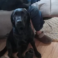 processed/ad6dac64-30ca-49f0-a5e5-5b7a4384bf3c/facility/1b397231-d1aa-4d9b-b644-0530127d54fd