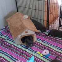 processed/ad6dac64-30ca-49f0-a5e5-5b7a4384bf3c/facility/2a7c023a-d590-4bad-add7-da7d9d63862f