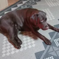 processed/ad6dac64-30ca-49f0-a5e5-5b7a4384bf3c/facility/458c8a80-2297-44c0-97f8-078b7ea6d8a0