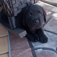 processed/ad6dac64-30ca-49f0-a5e5-5b7a4384bf3c/facility/714951c4-6fa6-496f-a317-94506d7d74b1