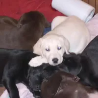 processed/ad6dac64-30ca-49f0-a5e5-5b7a4384bf3c/facility/857b289b-4ca8-4ec4-9ff3-8b24886171be