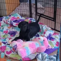 processed/ad6dac64-30ca-49f0-a5e5-5b7a4384bf3c/facility/8baff8a1-0283-4444-87b4-83194b040680