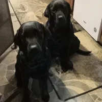 processed/ad6dac64-30ca-49f0-a5e5-5b7a4384bf3c/facility/c1543f45-5584-4fc4-92eb-ce42de76f010