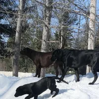 processed/ad6dac64-30ca-49f0-a5e5-5b7a4384bf3c/facility/d2e254bb-71c1-4485-b9ca-88e4b3c6130d