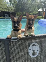 processed/ad8172c6-38cc-46c7-8cc6-cb1193725f9f/facility/1752ace1-7082-4cb1-a243-0a793635d886