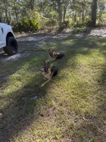 processed/ad8172c6-38cc-46c7-8cc6-cb1193725f9f/facility/618ed684-9de2-4edd-9c01-b2ca42f93bf2