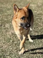 processed/ad8172c6-38cc-46c7-8cc6-cb1193725f9f/facility/93702f58-56a4-4c66-892a-66ad261140a2