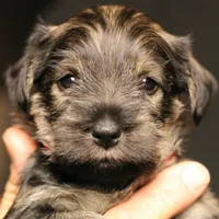 processed/ad9425bc-f5b5-452d-9201-da89e000c0d5/facility/9ab69eaa-0a3c-4795-84e8-da09c456b2d6