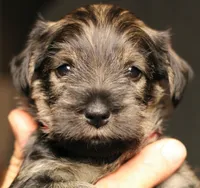 processed/ad9425bc-f5b5-452d-9201-da89e000c0d5/facility/9ab69eaa-0a3c-4795-84e8-da09c456b2d6