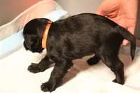 processed/ad9425bc-f5b5-452d-9201-da89e000c0d5/listing/2a5d82cf-c792-45f3-a261-3b3193ae0daf/2377f7b0-e051-4e30-8817-233203a5adfa