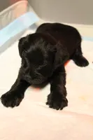 processed/ad9425bc-f5b5-452d-9201-da89e000c0d5/listing/2a5d82cf-c792-45f3-a261-3b3193ae0daf/505d881c-8652-45c2-b6c1-212338a74e7b